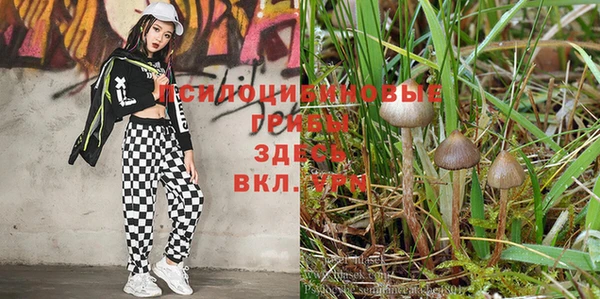 круглые Дмитров
