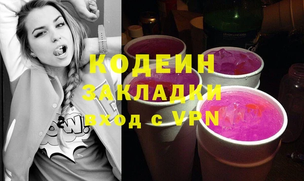 мдпв Дмитриев