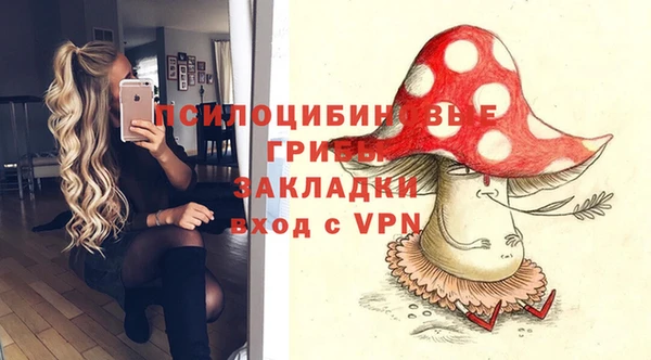 мдпв Дмитриев