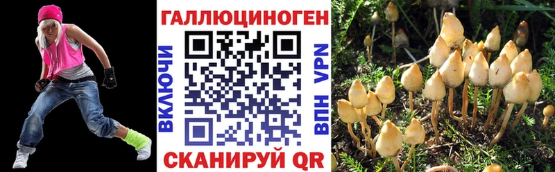 Купить Нефтекумск Псилоцибиновые грибы прущие грибы